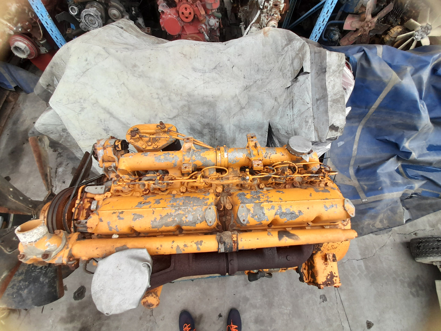 FIAT 8205.02
