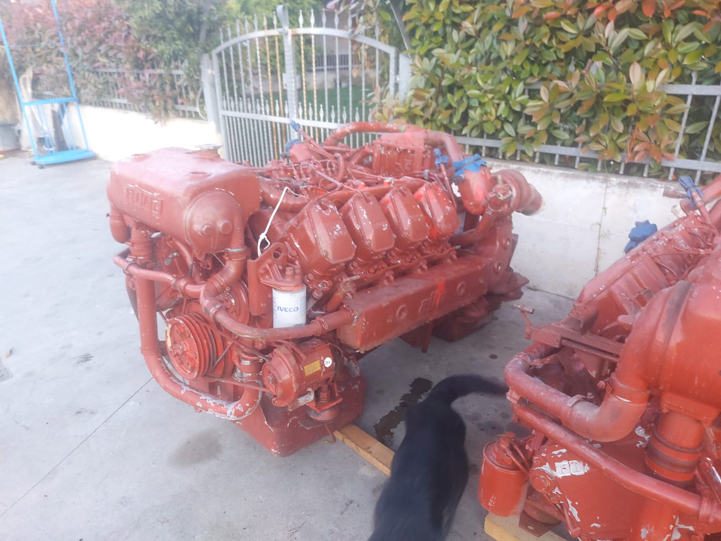FIAT-aifo 8281.22
